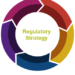 Regulatory Strategy